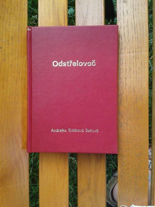 Kniha Odstřelovač