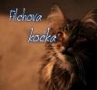 Filchova kočka - 2. kapitola, Filchova pomsta