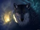 Tajemný vlk