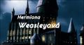 New Hogwarts - 5. kapitola