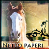 Netto paperi: Prolog