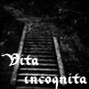 Vita incoqnita 12. kapitola - konec