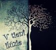 V tieni ilúzie - 26. kapitola